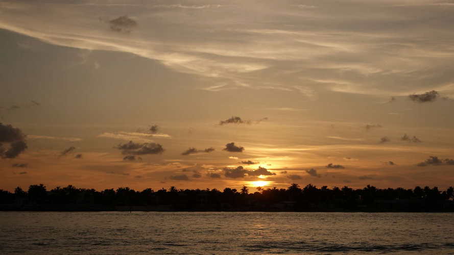 MIA_2023-08-11 19-52-59_RX_05911